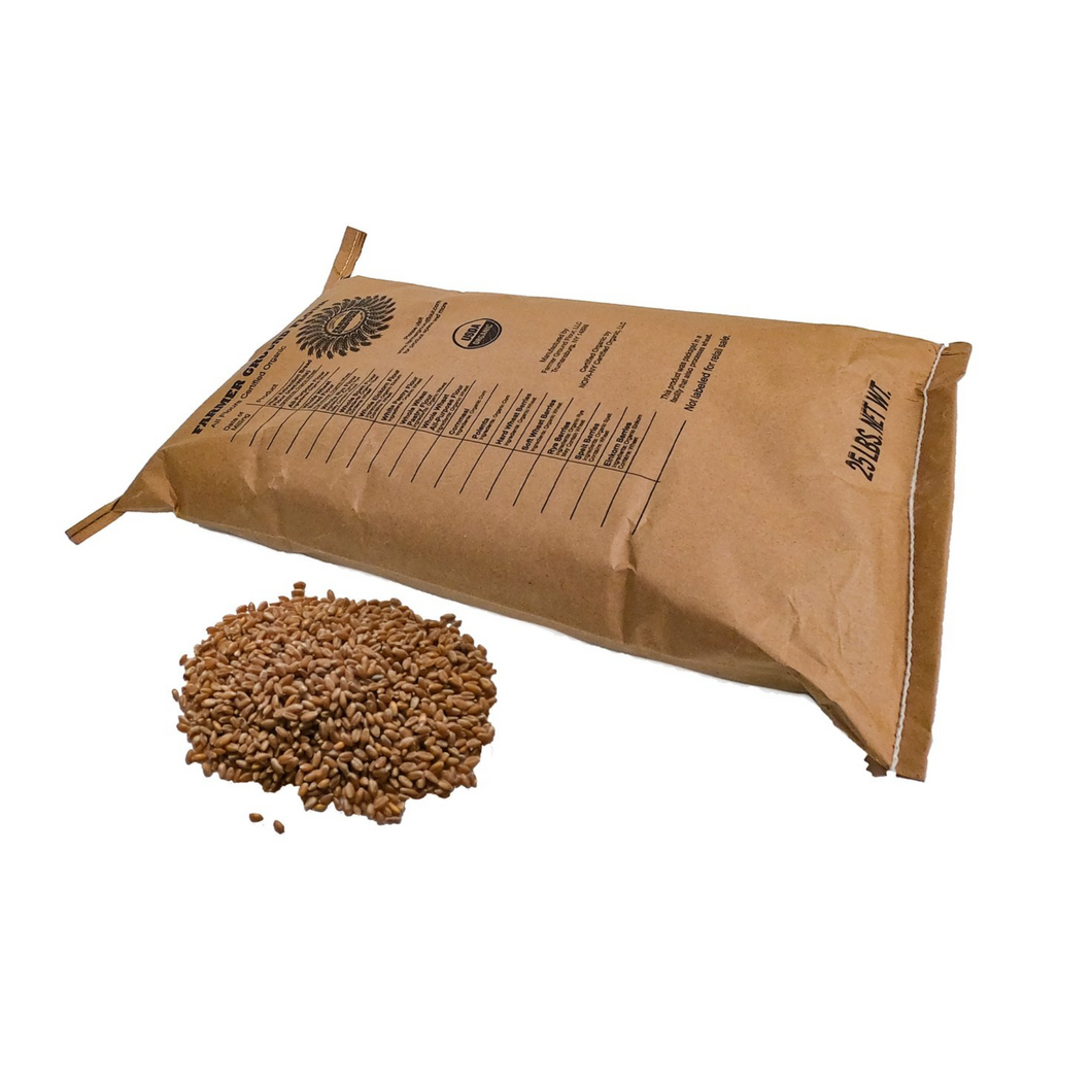 Grains, Organic Hard Red Wheat Berries - Farmer Ground Flour